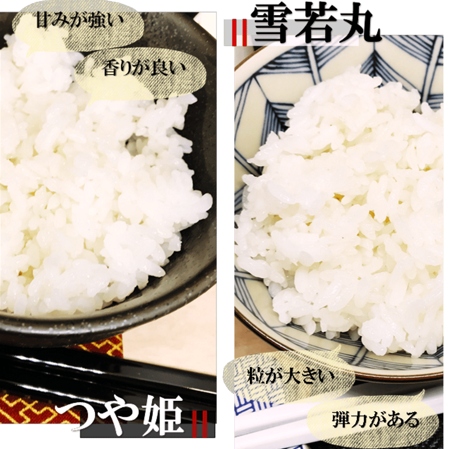 636754fbd7e1d80156094566