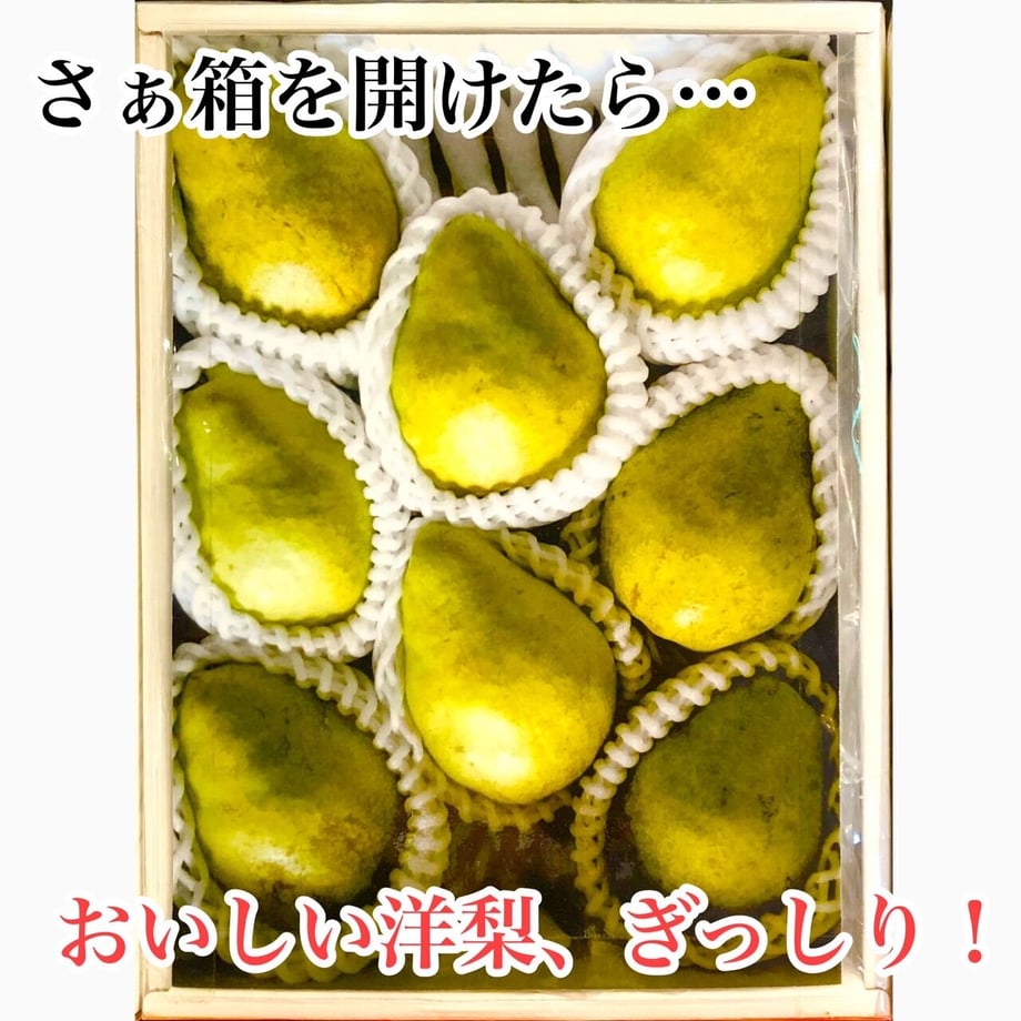 63329745c808a43024d12708