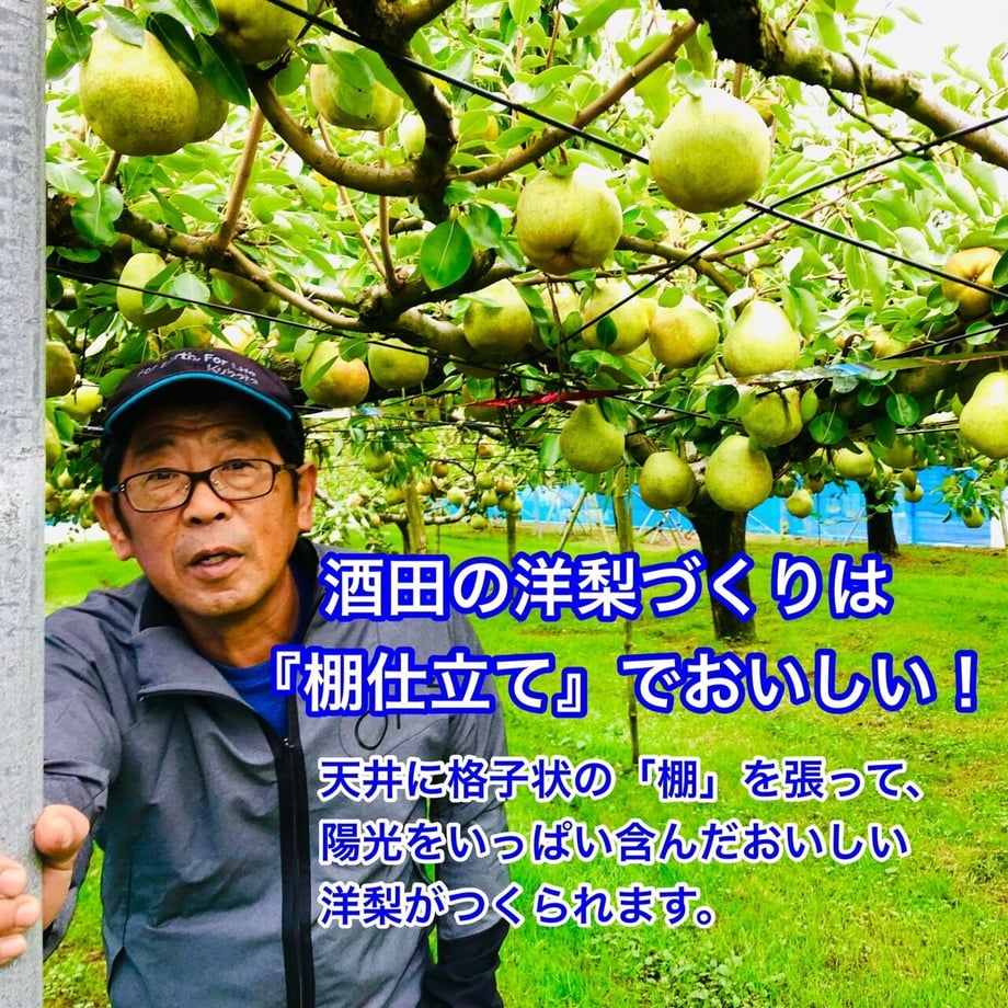 63329745c808a43024d12708