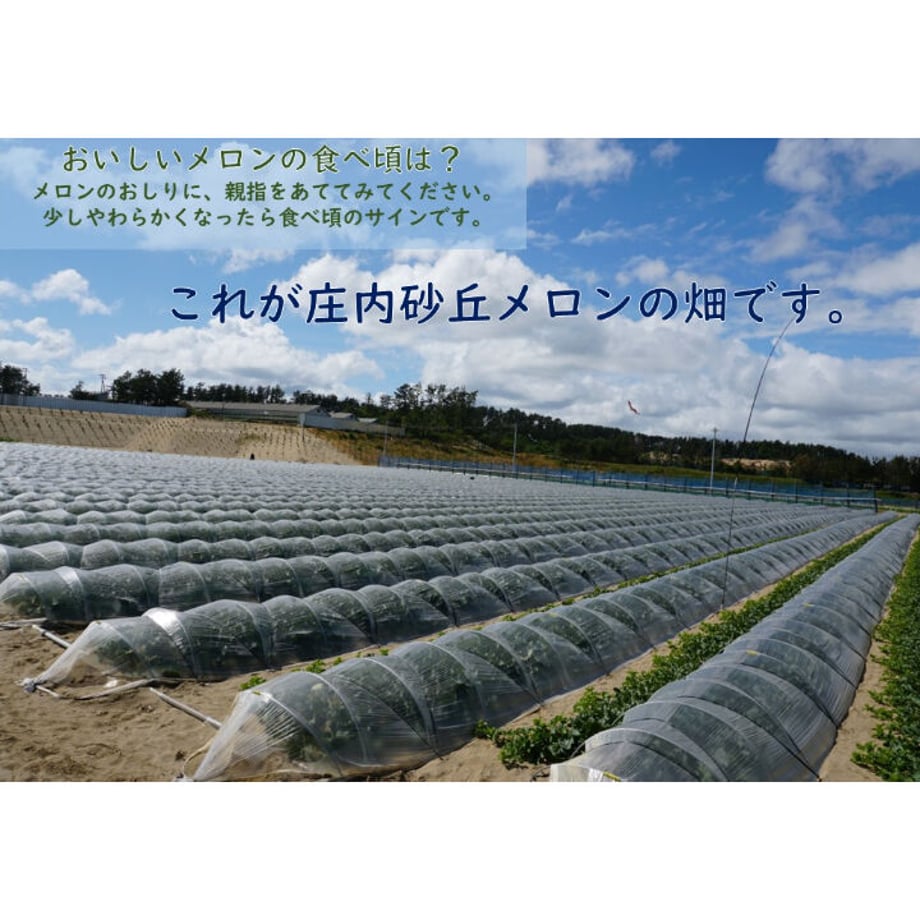 6a0eaf300662f219b727a355