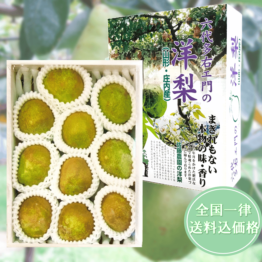 66fe513553ff9f0253e51f84