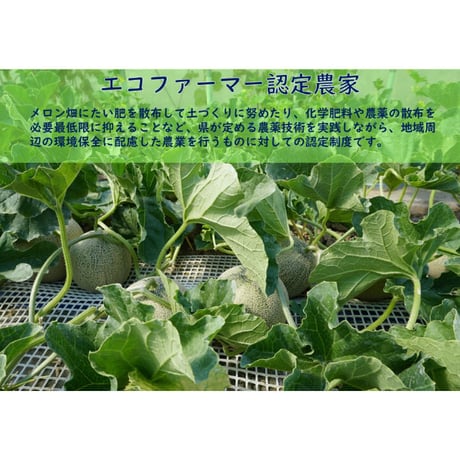 阿部農園【庄内砂丘パンナメロン ３玉入り】２箱 ※送料込み