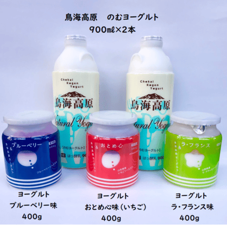 鳥海 やわた観光 ギフトセット【鳥海高原 ヨーグルト セット】 送料込み