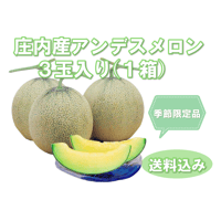 ≪早割り予約受付中≫川村農園【庄内砂丘アンデスメロン ３玉入り】１箱 ※送料込み