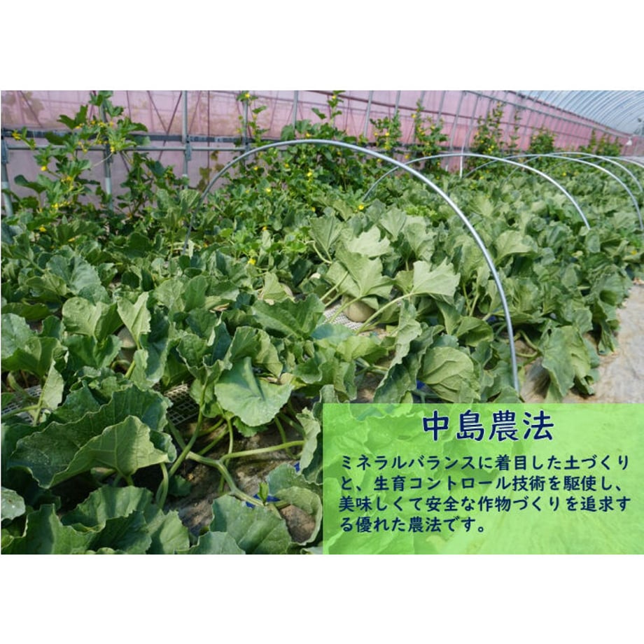 6a0eaf300662f219b727a355