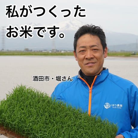 ほり農園 【庄内米 つや姫 ５㎏】令和7年産
