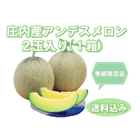 ≪早割り予約受付中≫川村農園【庄内砂丘アンデスメロン ２玉入り】１箱 ※送料込み