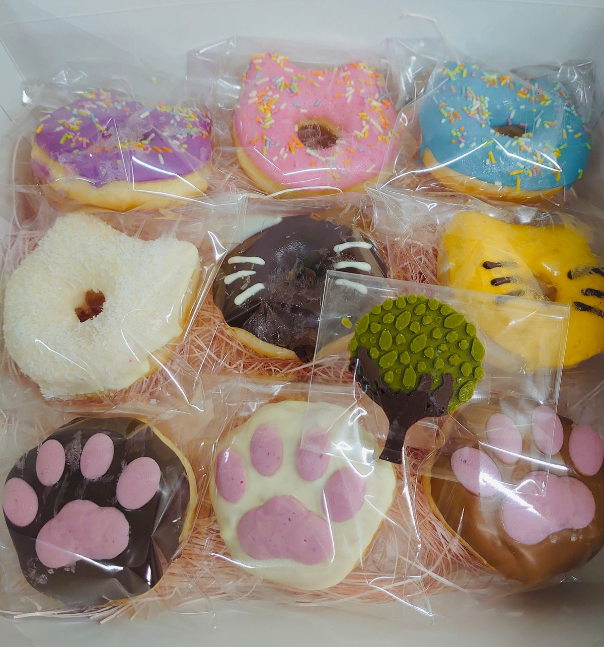 猫の森ドーナツBOX（9個入り）(送料込) | SIUNAUS SWEETS STORE