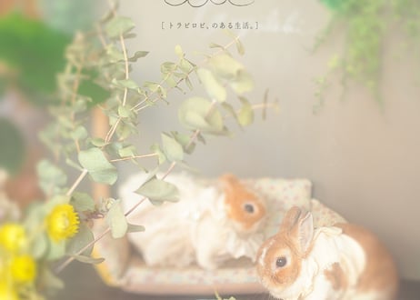 うさぎnoそふぁ［ミルキー］