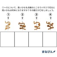数量 ひもの数（PDF問題9枚答え1枚＿計10枚）