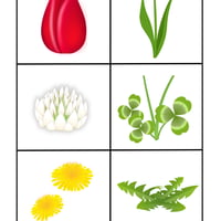 花と葉（PDF_計5枚)