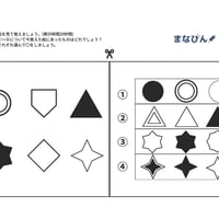 記憶の問題【形】（PDF問題20枚）