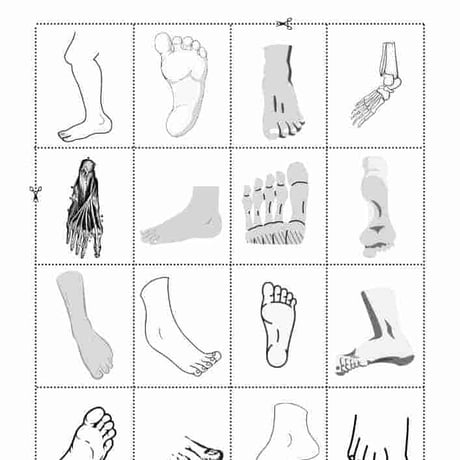 【無料】左右の手足カード（PDF4枚）