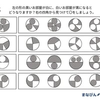 色の反転（PDF問題9枚答え1枚_計10枚)