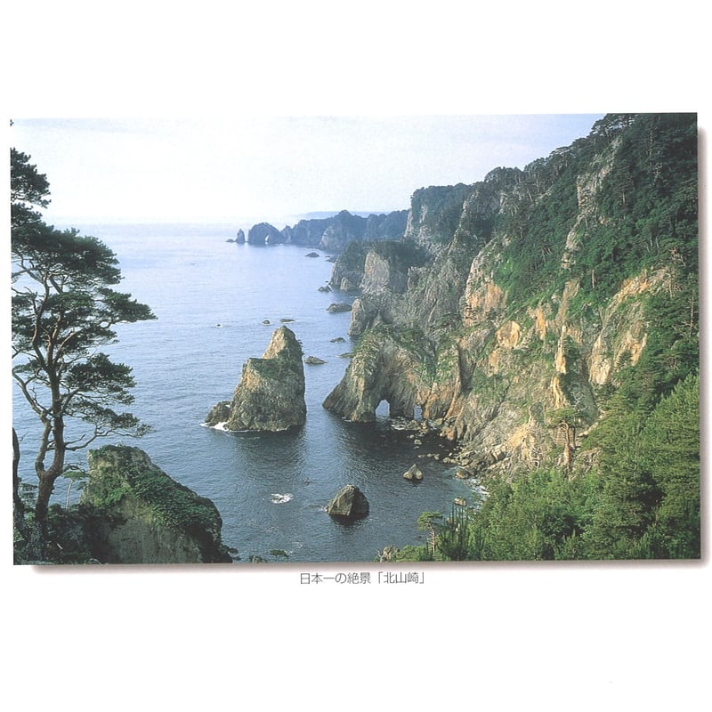 未使用絵はがき　230 未使用 星野富弘 詩画集絵はがき 4枚セット まとめ売り - メルカリ