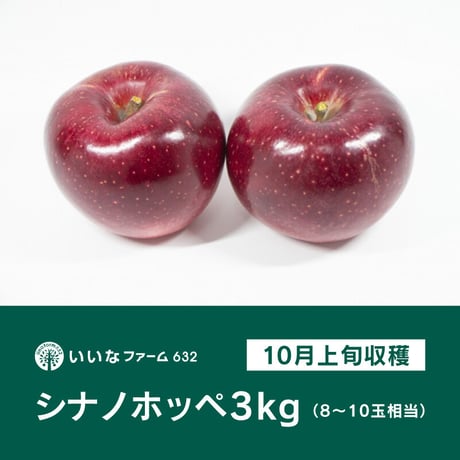 【予約販売】信州りんご「シナノホッペ」3kg（8〜10玉相当）