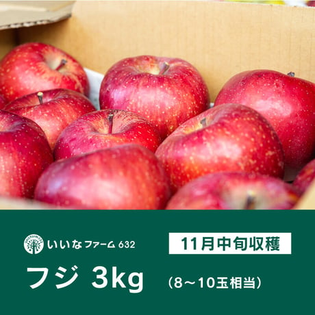 【予約販売】信州りんご「フジ」3kg（8〜10玉相当）