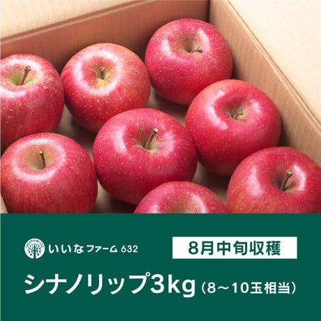 【予約販売】信州りんご「シナノリップ」3kg（8〜10玉相当）