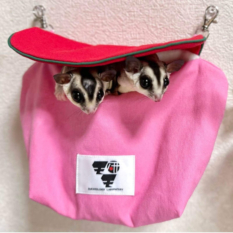 フクモモテトラポーチ　かのこピンク 楽天市場】ストラップで首からさげられる、フクロモモンガ専用