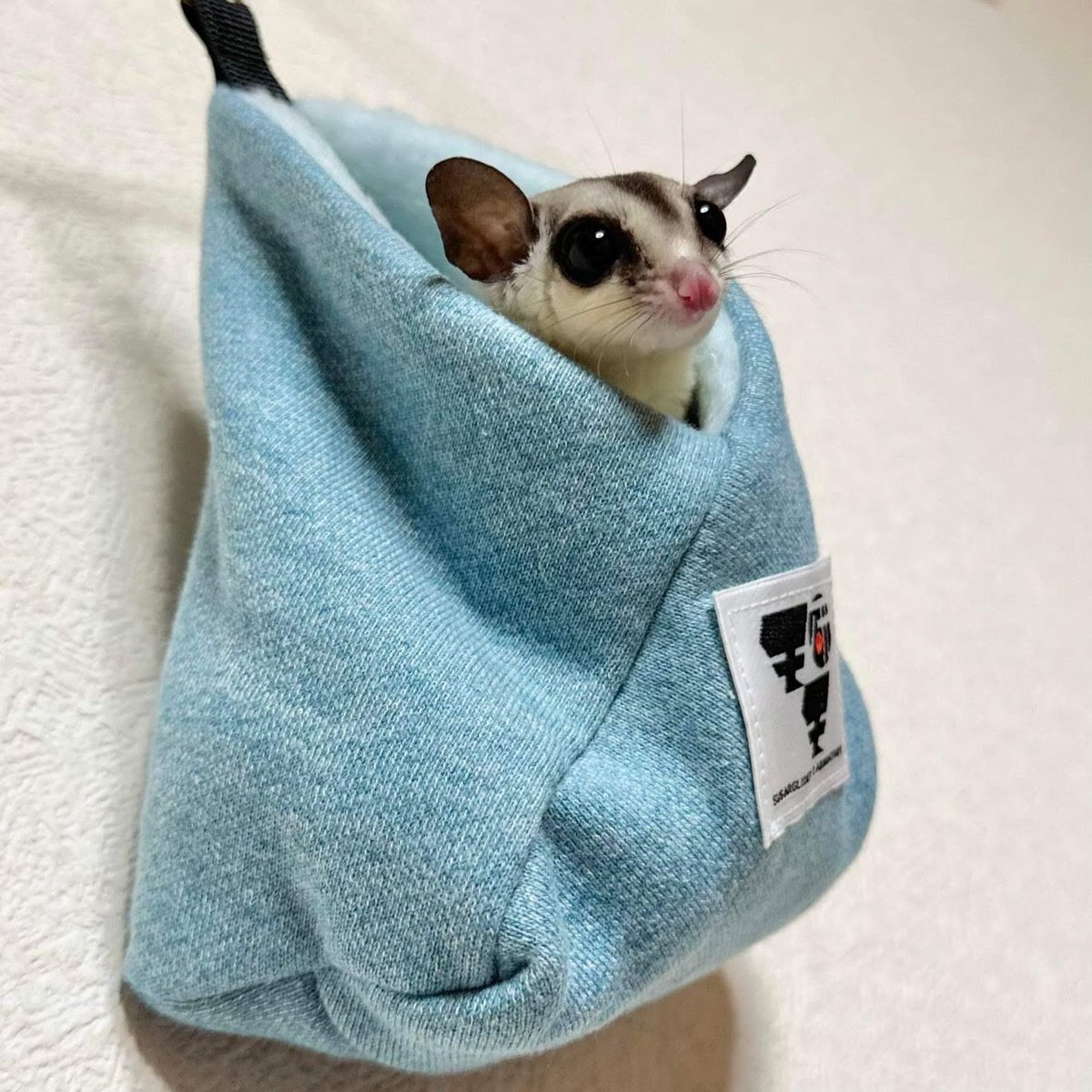 フクロモモンガ床置きベット モモ研吊り下げベッド・フクモモ小町（ブルー） | ももんが博士