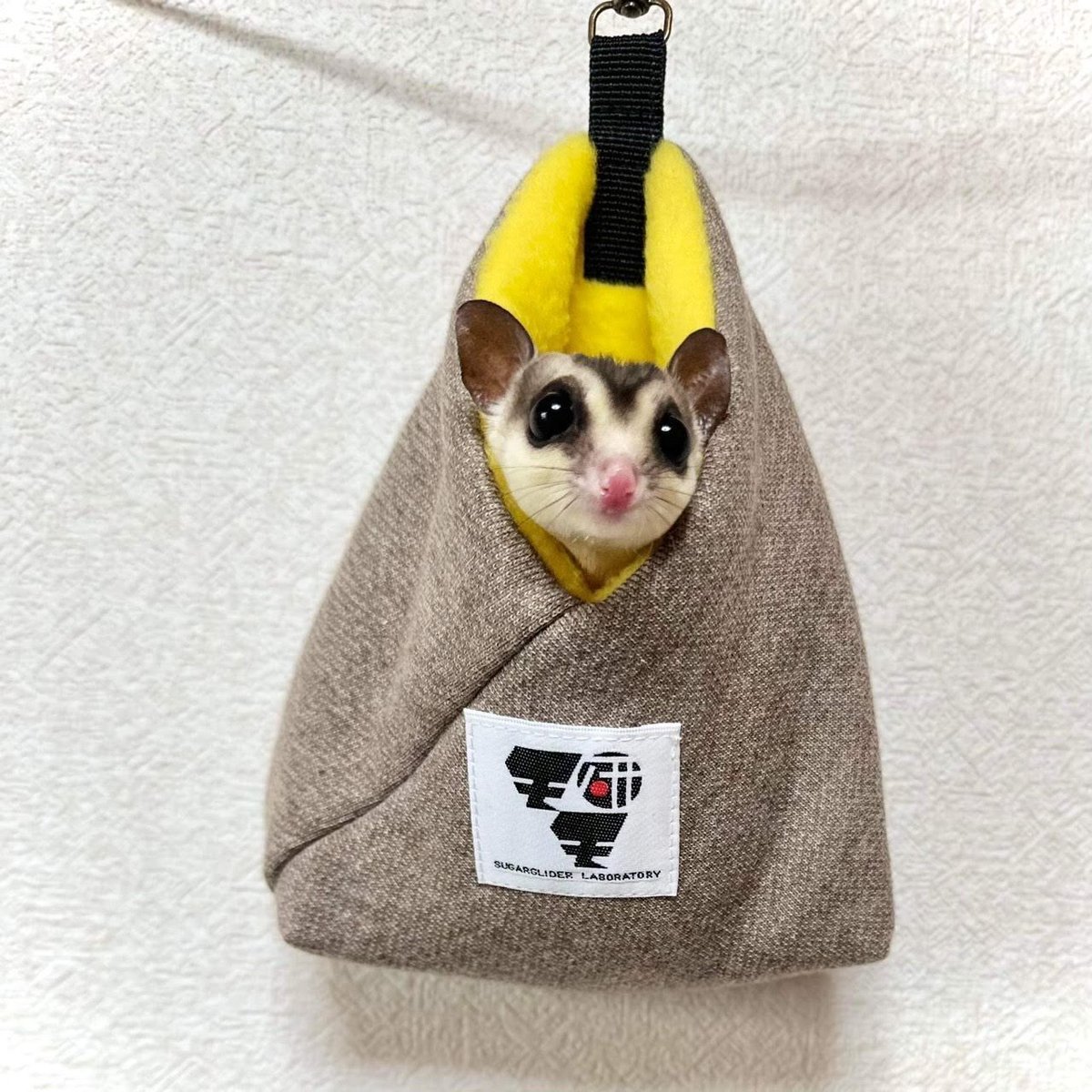 【専用】-現品限り-フクモモSpecial♥️ベッドの強度確認ページ 専用】-現品限り-フクモモSpecial♥️ベッドの強度確認ページ 【公式通販】