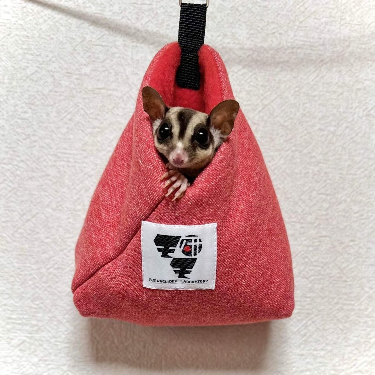 fit=scale-down,w=1200