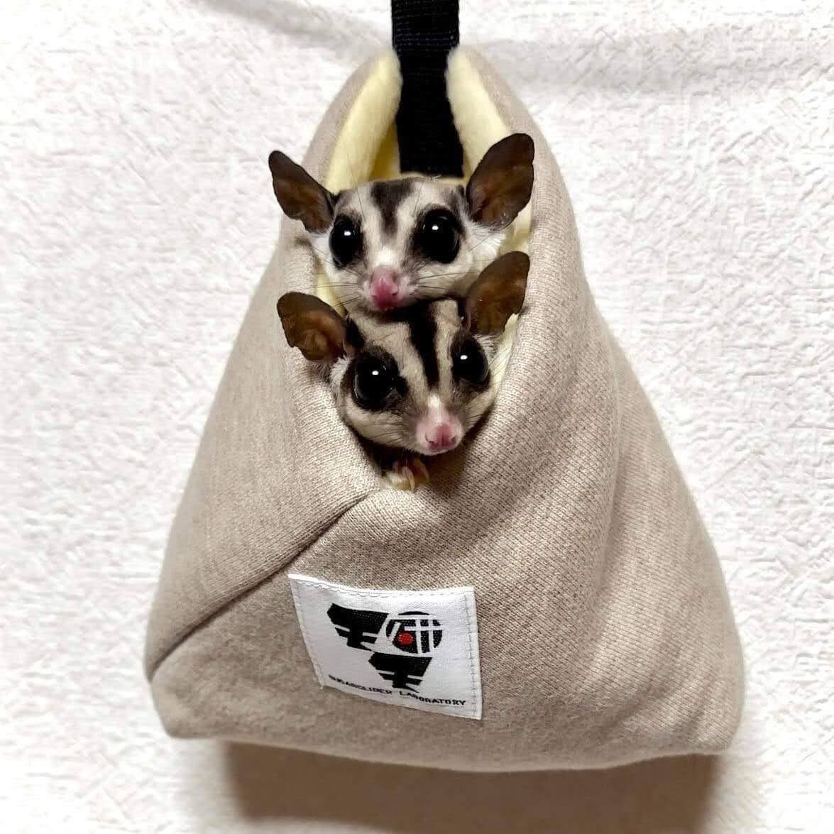 【専用】-現品限り-フクモモSpecial♥️ベッドの強度確認ページ 専用】-現品限り-フクモモSpecial♥️ベッドの強度確認ページ 【公式通販】