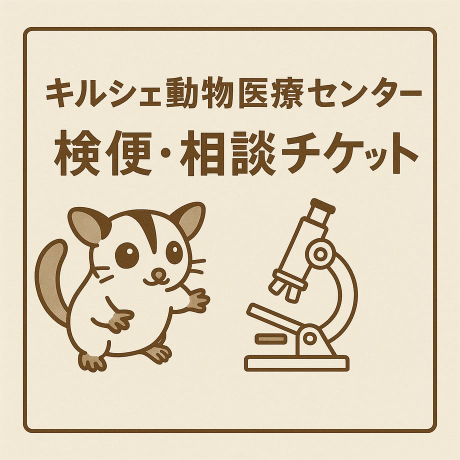 69d74d324d1d1d17403ff538