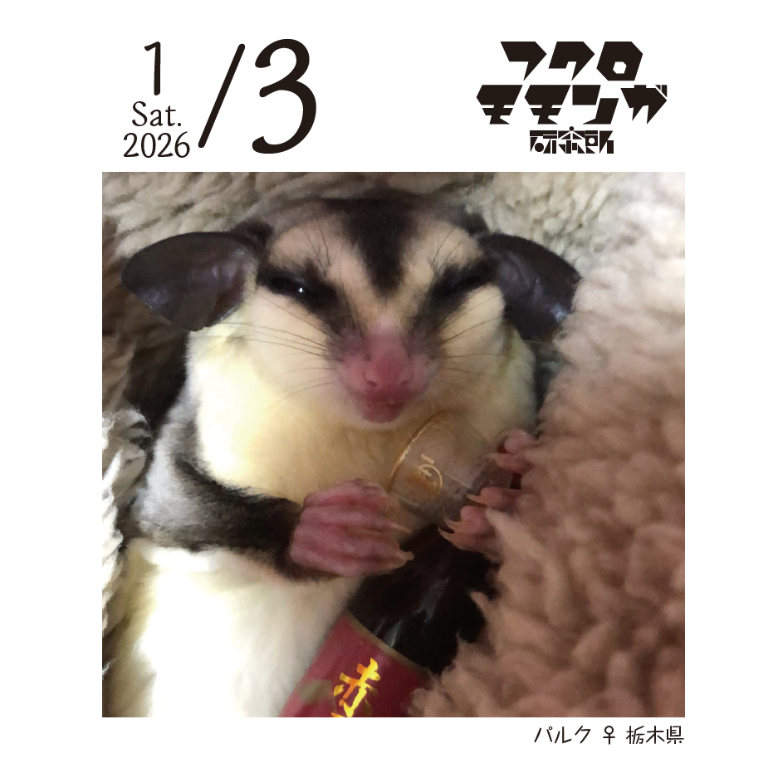 fit=scale-down,w=1200