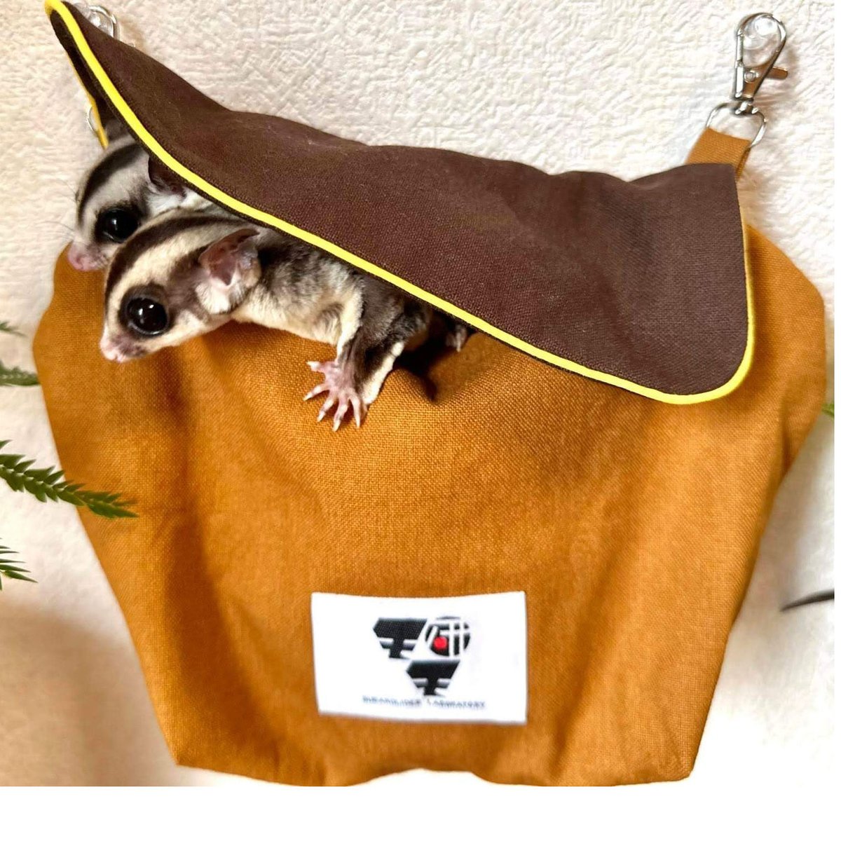 フクロモモンガカーテン付きベット モモ研カバーつき吊り下げベットファミリータイプ・フクモモ帆布