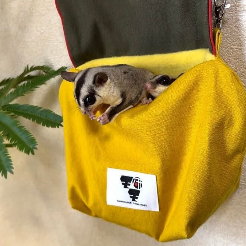 フクロモモンガカーテン付きベット モモ研カバーつき吊り下げベットファミリータイプ・フクモモ帆布