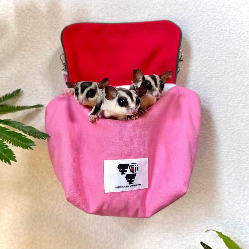 モモ研カバーつき吊り下げベットファミリータイプ・フクモモ帆布(小梅