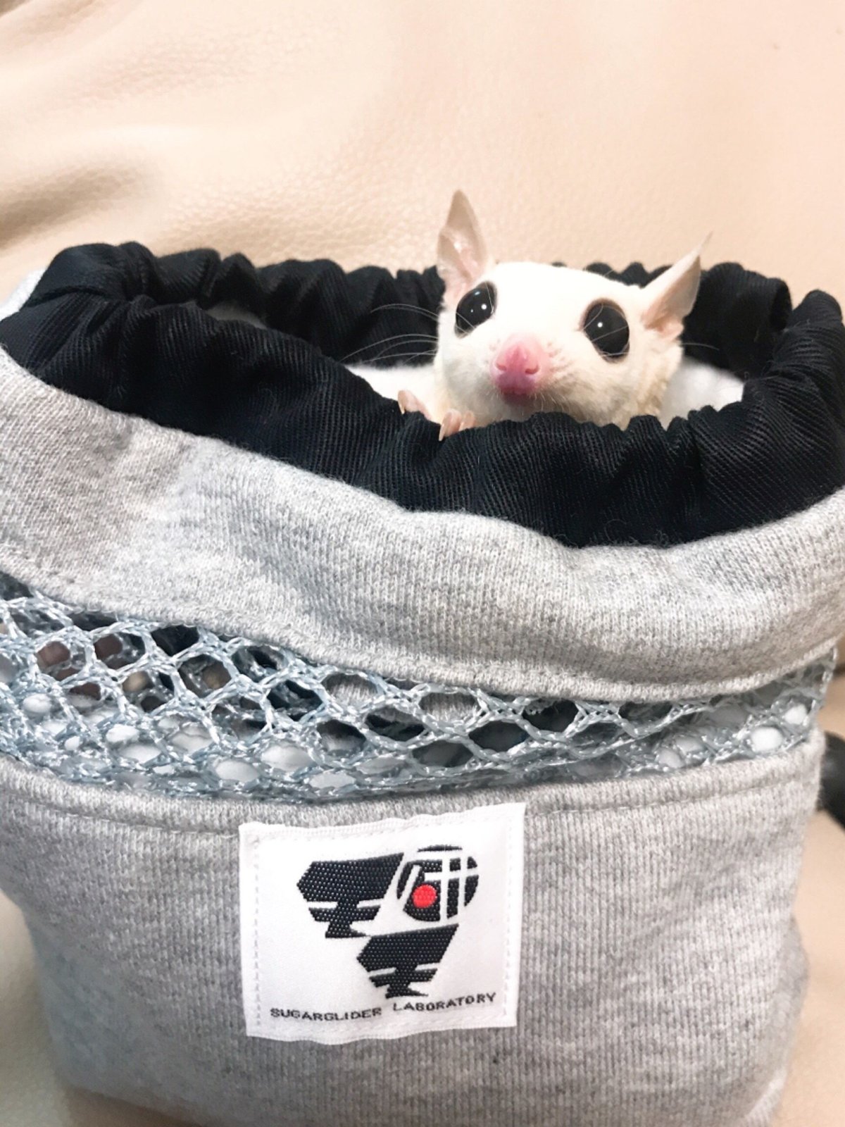 クリスマス限定❣️フクロモモンガポーチ オーダーページ!!