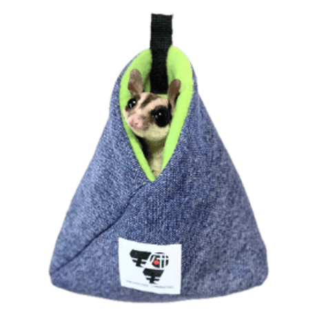 CATEGORY フクロモモンガの寝床 | ももんが博士フクロモモンガ研究所