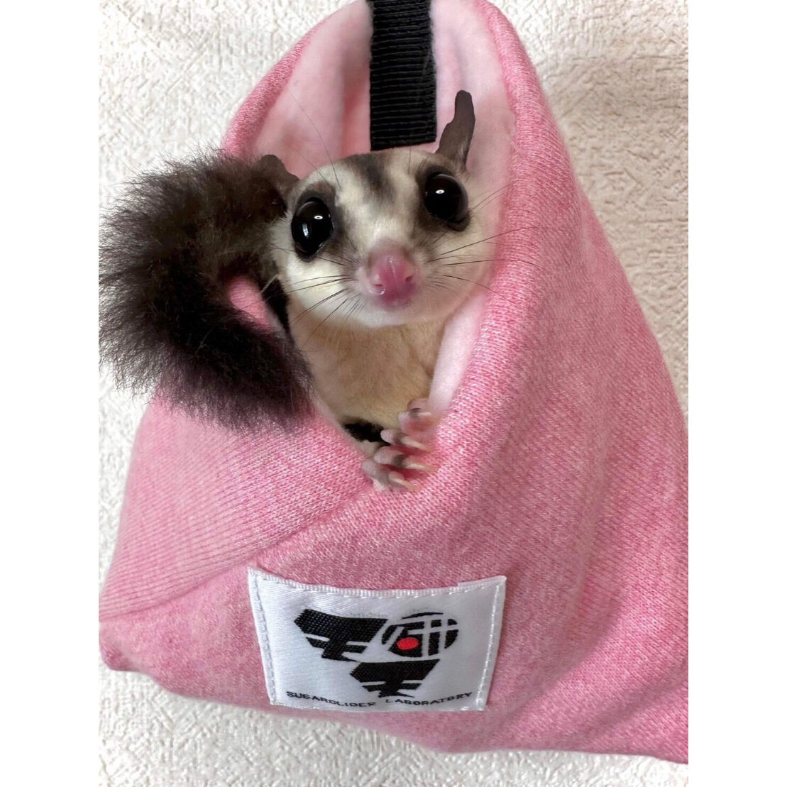 モモ研吊り下げベッド・フクモモ小町（サクラ） | ももんが博士