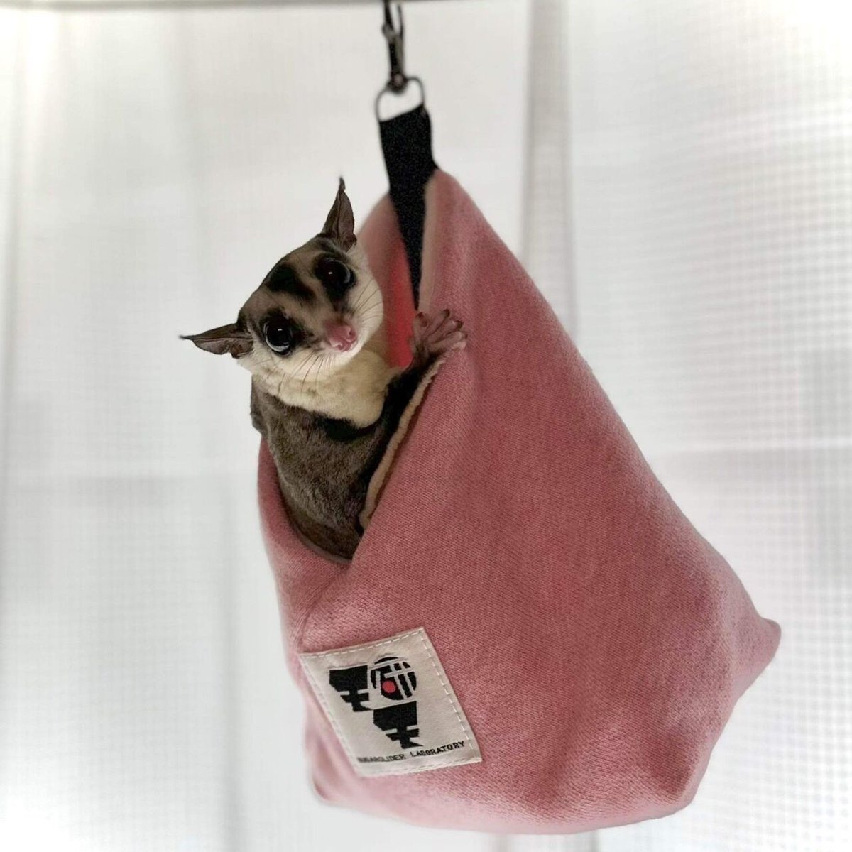 モモ研吊り下げベッド・フクモモ小町（サクラ） | ももんが博士