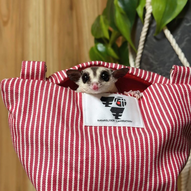 モモ研吊り下げベッド（ストライプレッド・中敷レッド） | ももんが