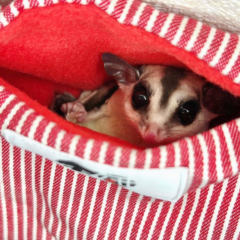 モモ研吊り下げベッド（ストライプレッド・中敷レッド） | ももんが