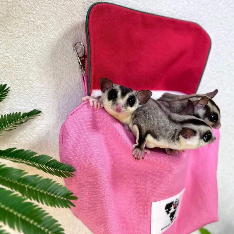 モモ研カバーつき吊り下げベットファミリータイプ・フクモモ帆布