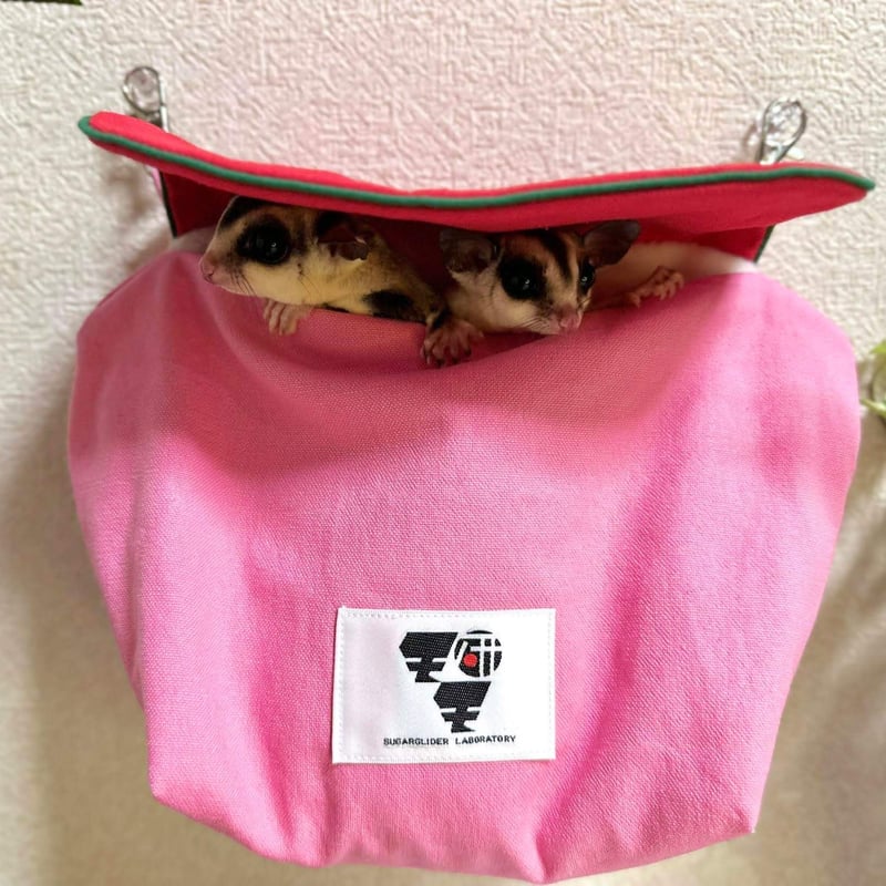 フクモモポーチ　かのこピンク フクモモなかよしポーチ | 小動物カフェ ロックスター