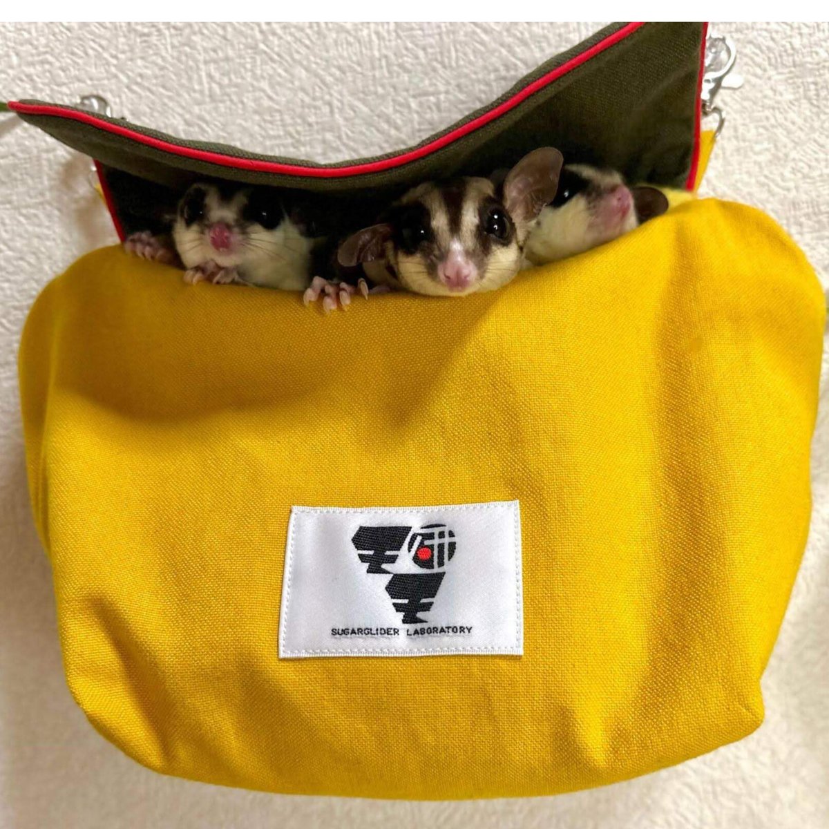 ふくもも モモ研カバーつき吊り下げベットファミリータイプ・フクモモ帆布