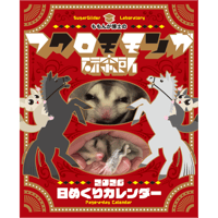 2026フクロモモンガ研究所・みんなの365日めくりカレンダー