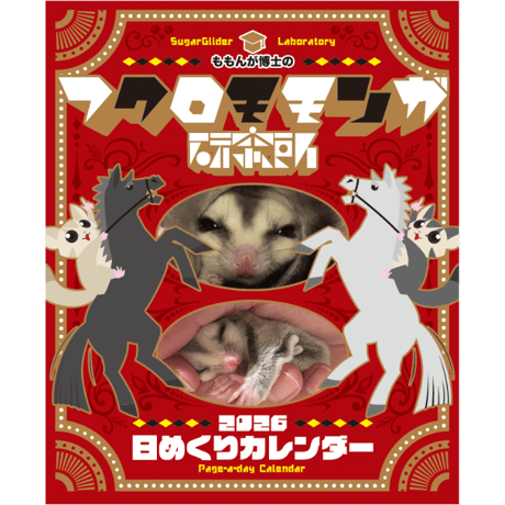 モモンガ | STORES