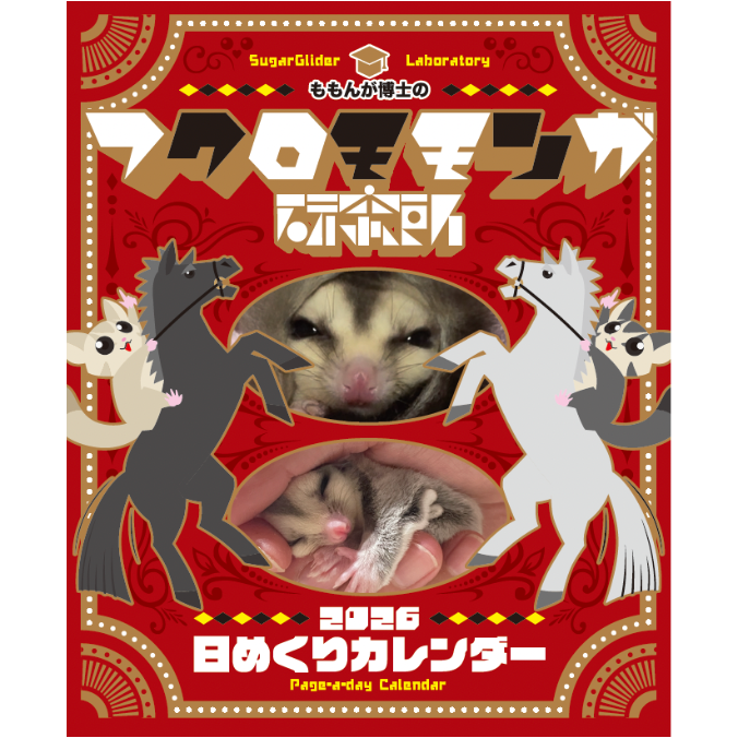 2026フクロモモンガ研究所・みんなの365日めくりカレンダー | ももんが