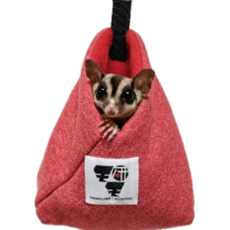 CATEGORY フクロモモンガの寝床 | ももんが博士フクロモモンガ研究所