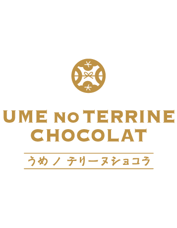 UME NO TERRINE CHOCOLAT
