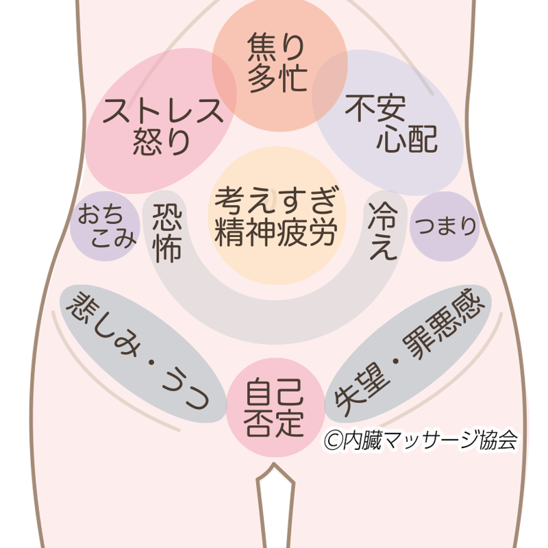 Yuki式チネイザンマスターコース【完全版動画教材