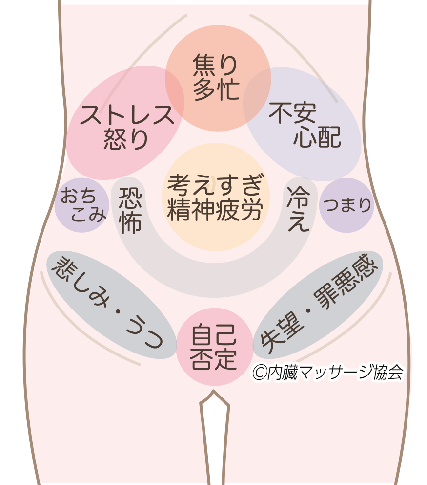 ホリスティックチネイザンセラピスト養成講座 DVD Yuki式チネイザンマスターコース【完全版動画教材