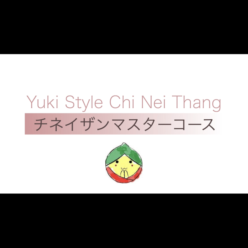 ホリスティックチネイザンセラピスト養成講座 DVD Yuki式チネイザンマスターコース【完全版動画教材