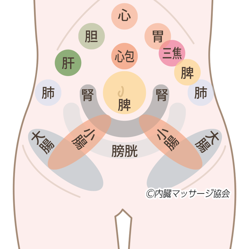 小柳弐魄の【DEEPCORE TOUCH～禁断の施術法～&～禁断の内臓操縦法～】 YUKI式チネイザンケアメソッド｜たった1分！痩せ体質に